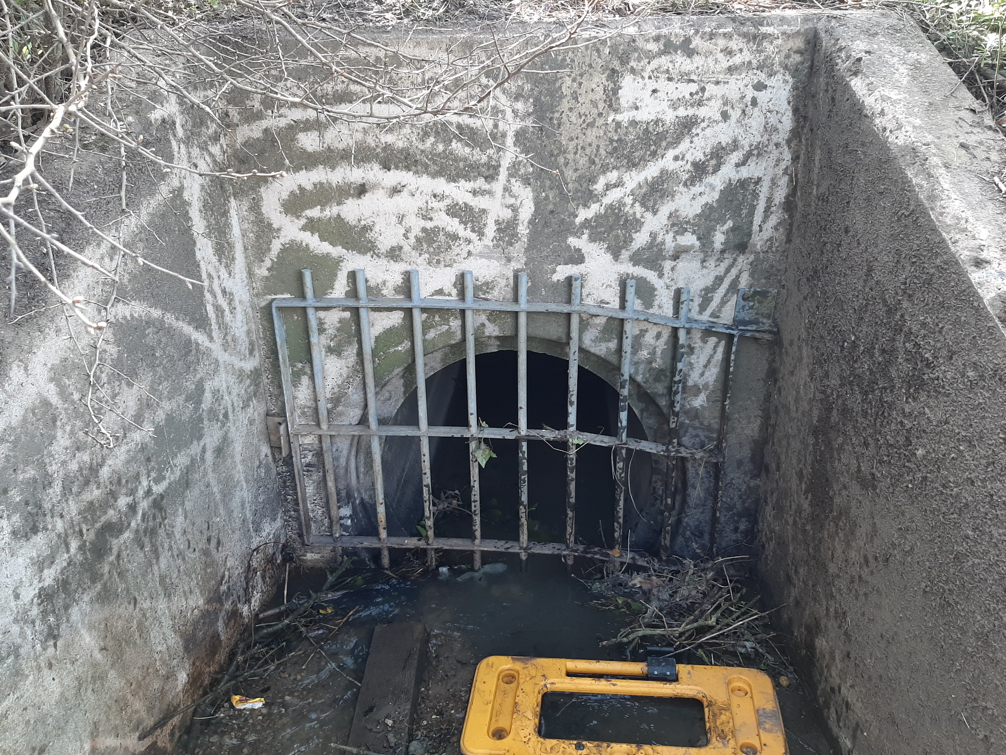 Wycliff Culvert